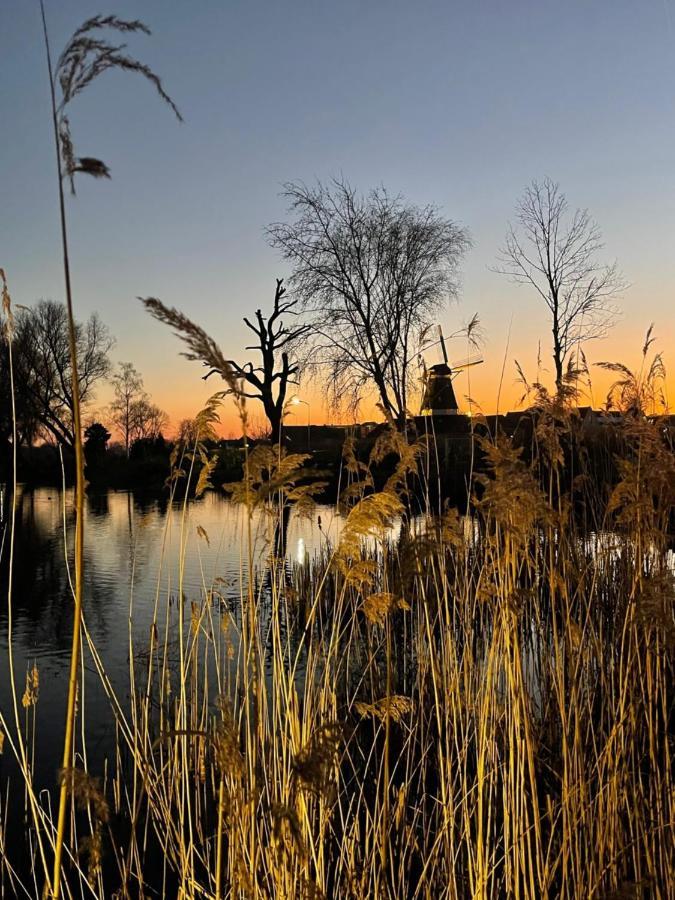Recreatiepark De Markplas Opheusden Dış mekan fotoğraf